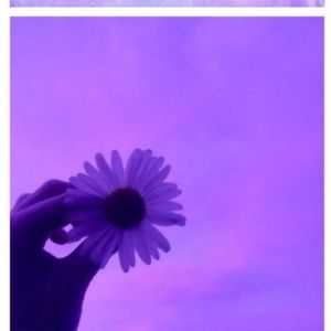 Meet your Posher, Somia